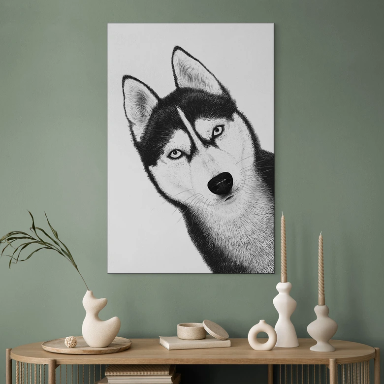 Fototapet Siberian husky - hundeportræt - aluminium dibond - Korenkova 