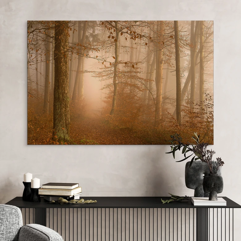 Tableaux brume et lumière dans une forêt en automne - Maier - Alu-Dibond 