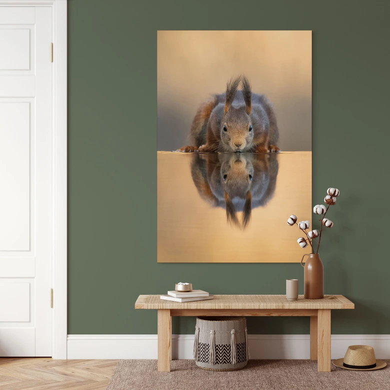 Wandbild Eichhörnchen am Wasser - van Duijn - Alu-Dibond 