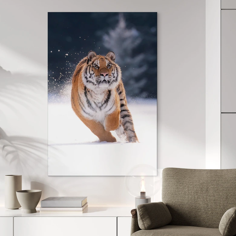 Wandbild Sibirischer Tiger im Schnee - van Duijn - Alu-Dibond 