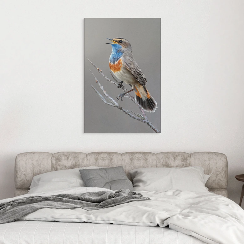 Wanddecoratie zang blauwborst - van Duijn - aluminium dibond 
