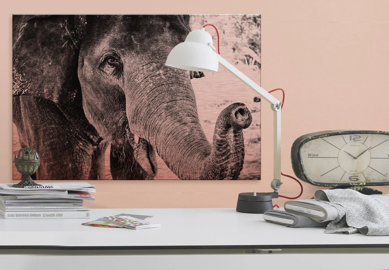 Alu-Dibond-Kupfereffekt - Indian Elephant 