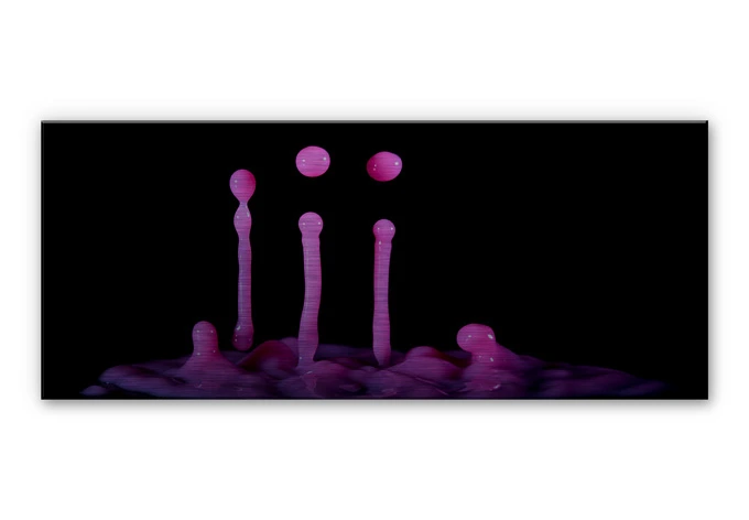 Alu Dibond – De Kogel – Secret Elixir – panorama 