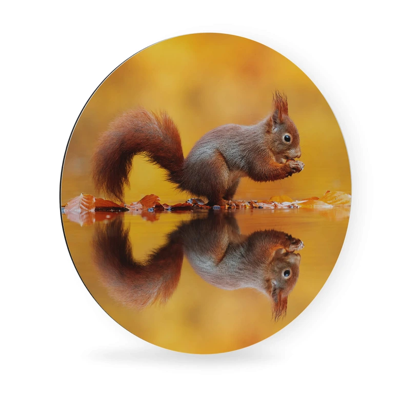 Wandcirkel van Duijn - Eekhoorntje met Noot 