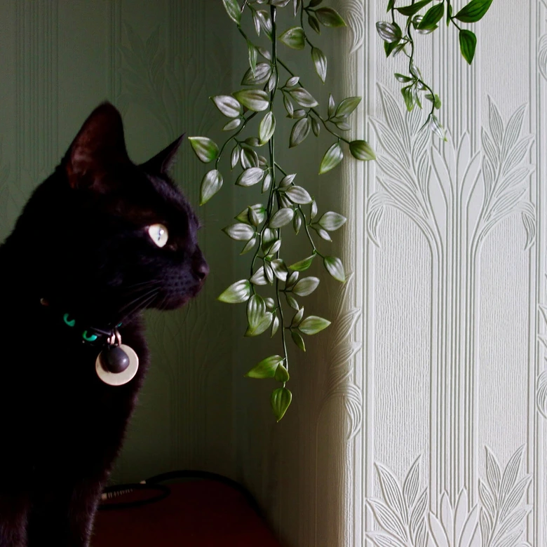 Anaglypta® Wildacre Carta da parati testurizzata di lusso 