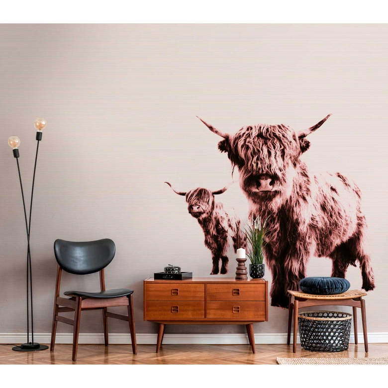 Livingwalls Fototapete ARTist Highland Cows mit Hochland Rindern beige, rosa 