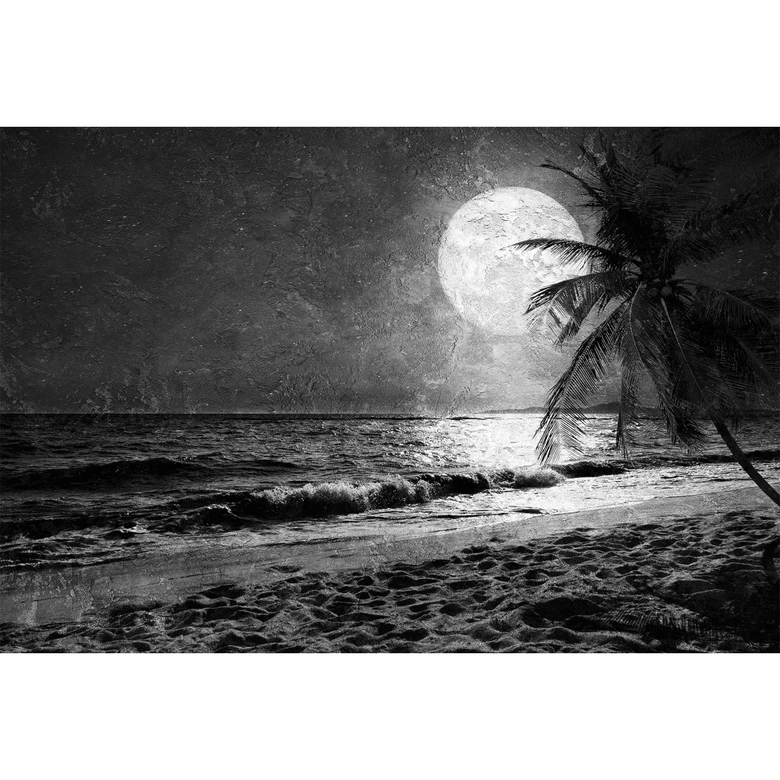 Fototapete Atelier 47 Beach at Night Mond - Architects Paper  