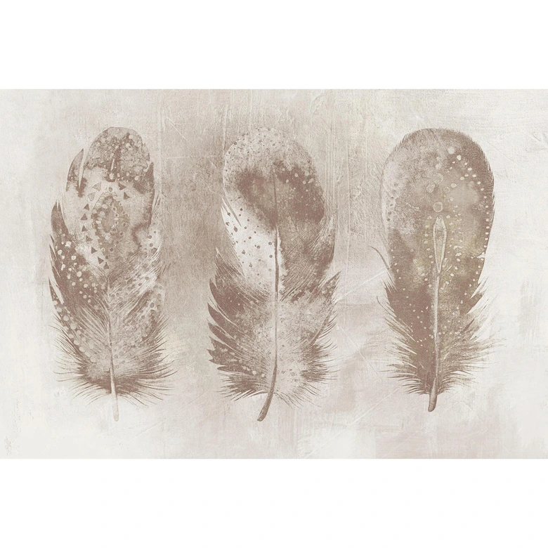 Fototapete Atelier 47 Motley Feather mit Federn - Architects Paper  
