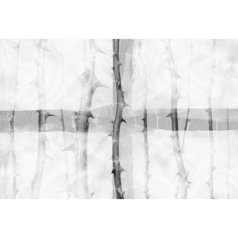 Fototapete Atelier 47 Thorn Art Natur - Architects Paper  