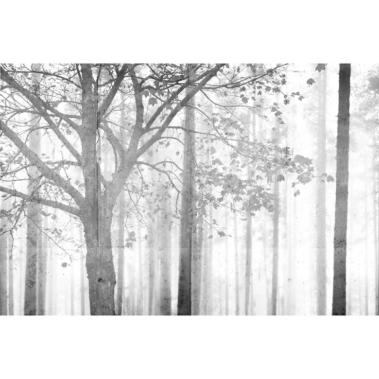 Architects Paper Fotobehang Atelier 47 Black & White Forest 