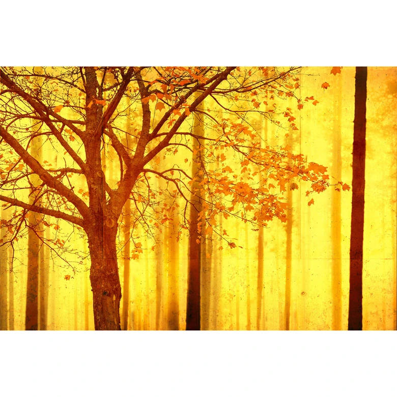 Architects Paper Fototapete Atelier 47 Edge Wald 