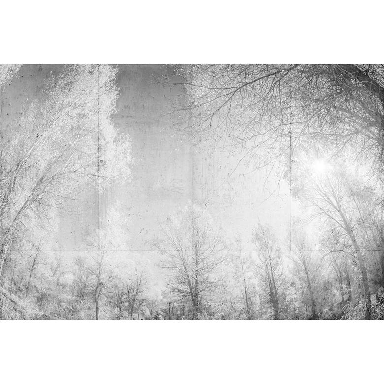 Fototapete Atelier 47 Forest Glade Wald - Architects Paper  