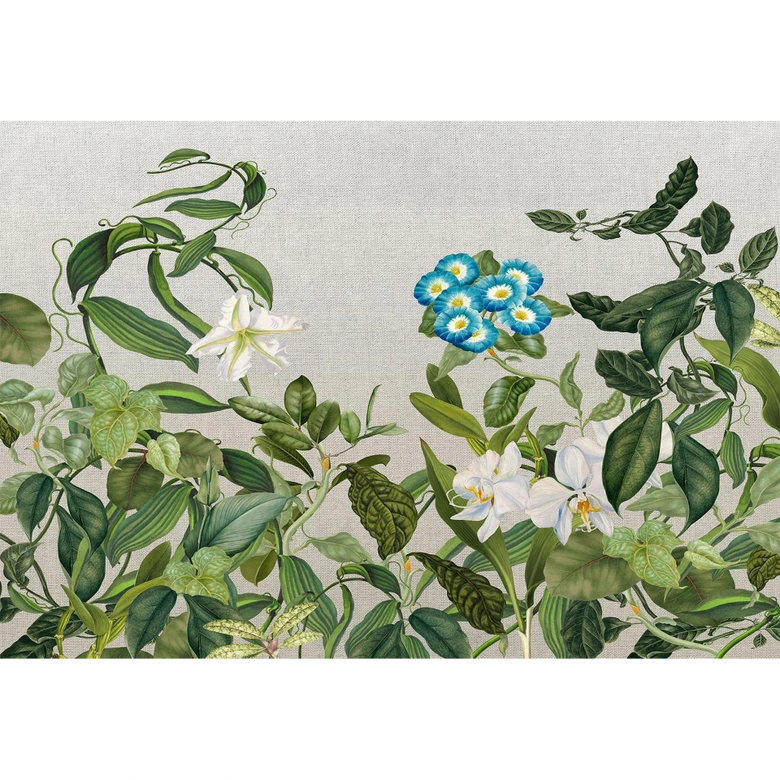 Fototapete Atelier 47 Botanic Sketch Blumen - Architects Paper 
