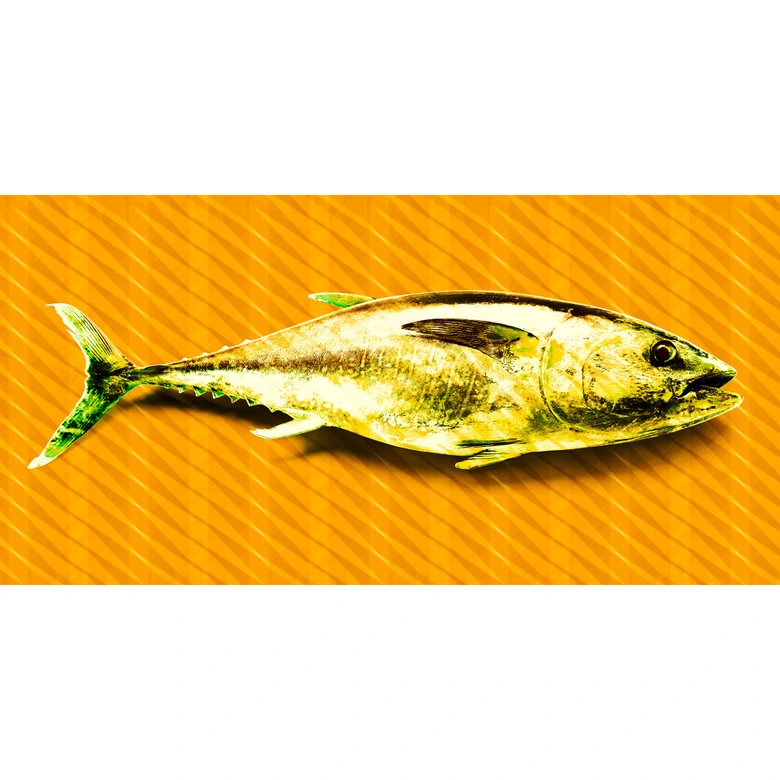 Architects Paper Atelier 47 Tuna 