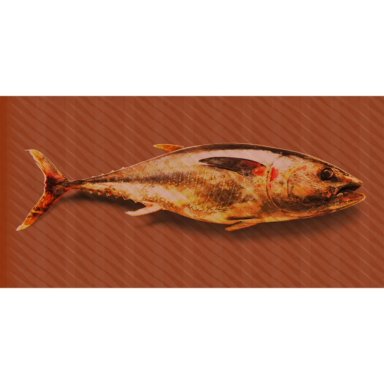 Fototapete Atelier 47 Tuna Graphic Tiere - Architects Paper  