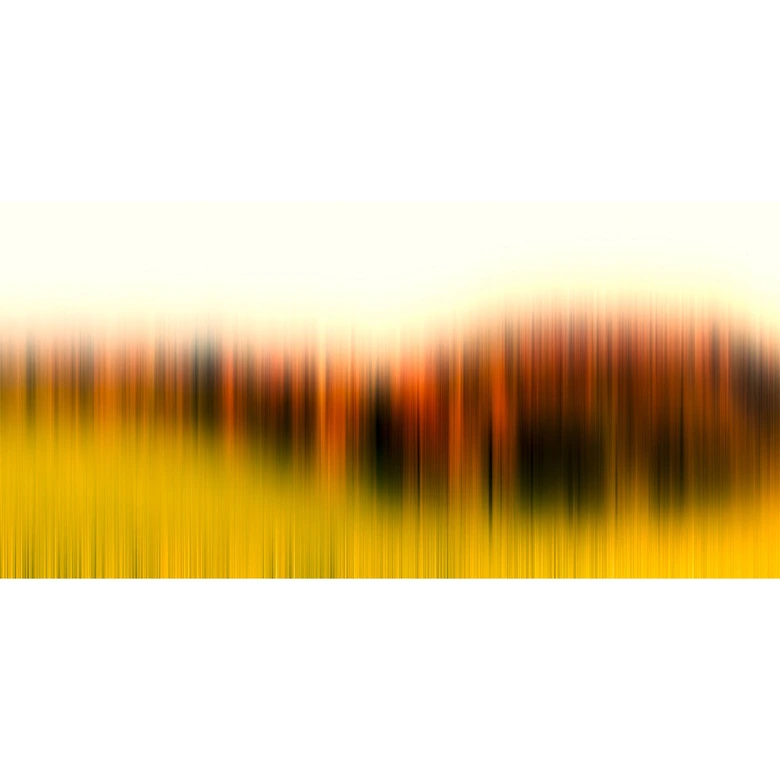 Architects Paper Papier peint photo Atelier 47 Diffused Tree Row  