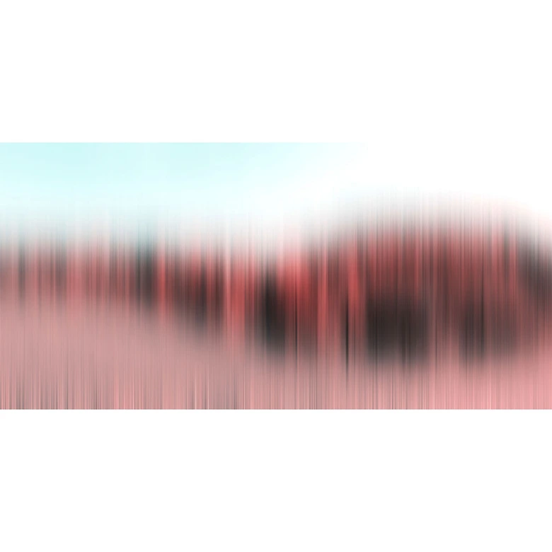 Architects Paper Papier peint photo Atelier 47 Diffused Tree Row forêt abstraite 