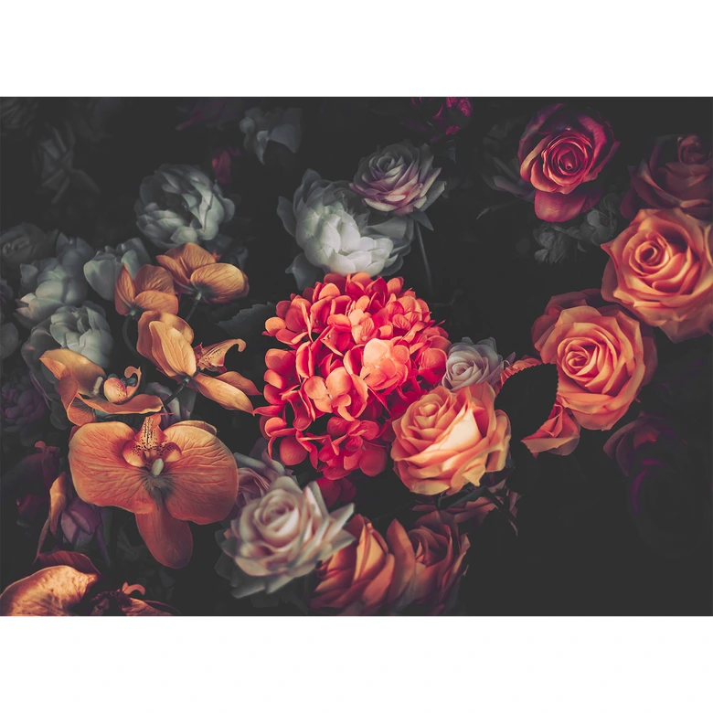 Livingwalls Fototapete Designwalls Romantic Flowers Blumen 