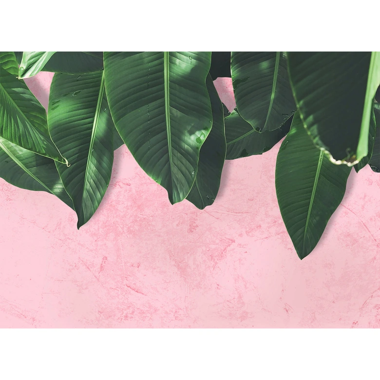 pink and green non-woven wallpaper Designwalls Leaves Wall palms jungle 