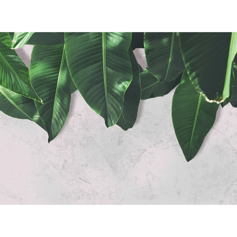 Livingwalls Fototapete Designwalls Leaves Wall Natur 