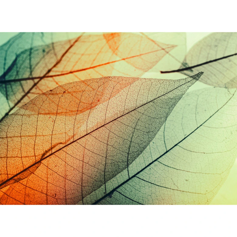 Green and orange non-woven wallpaper Designwalls Limpid Leaf forest 