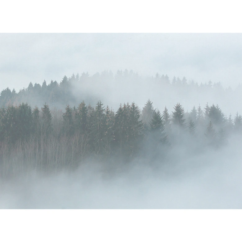 Livingwalls Fototapete Designwalls Misty Forest Wald 