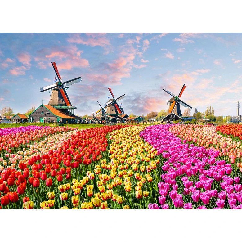 Livingwalls Fototapete Designwalls Zaanse Schans Blumen 