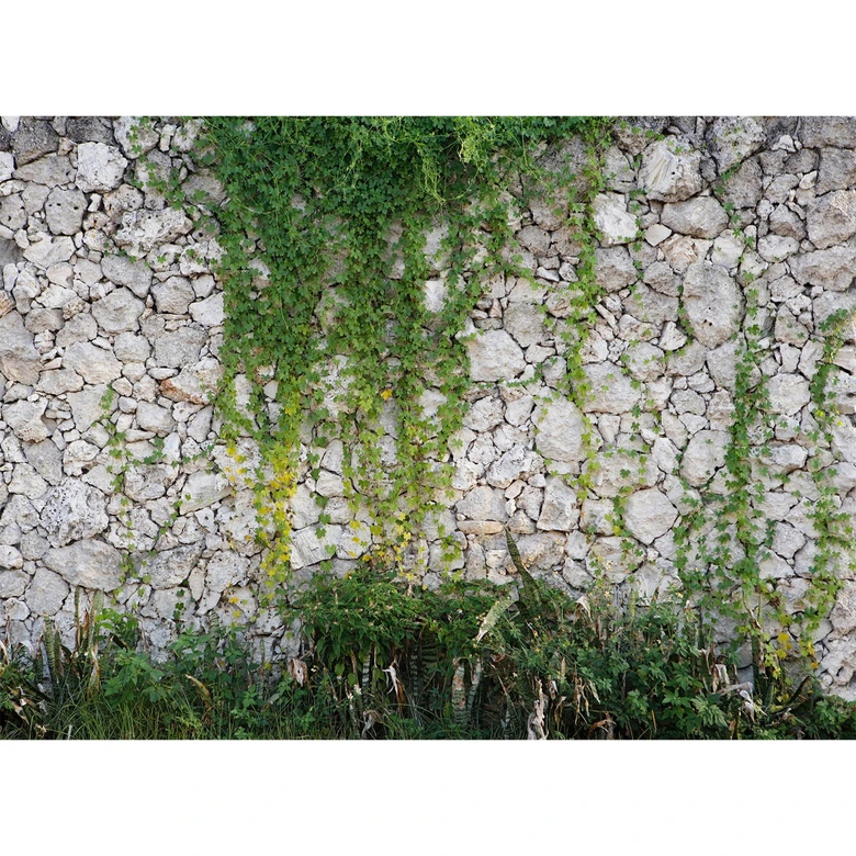 Livingwalls Fotobehang Designwalls Stone Wall 