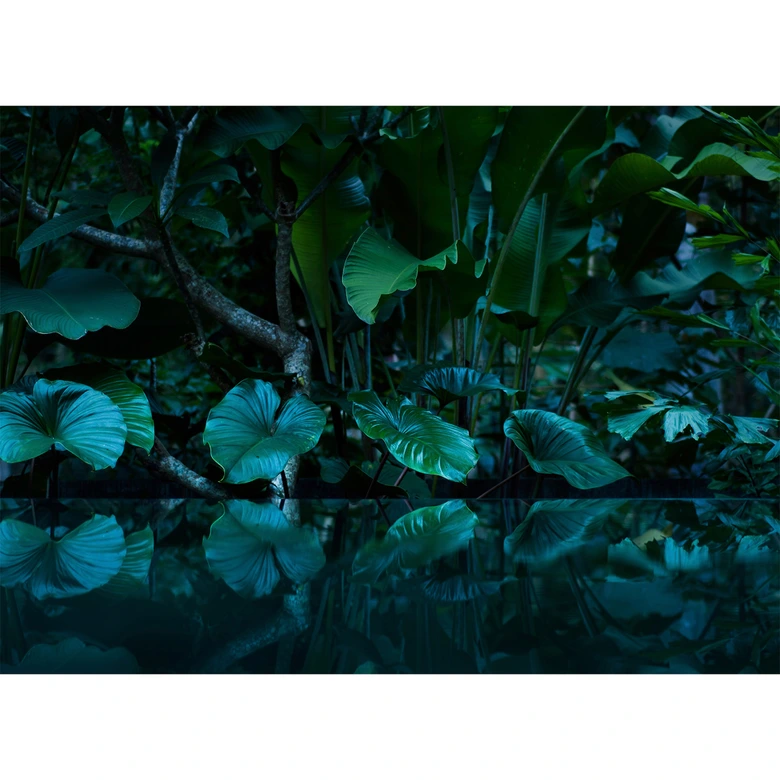 Livingwalls Fotobehang Designwalls Tropical Palms 