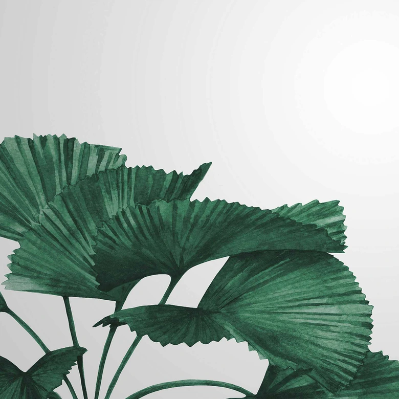 Fototapete Pflanzen TropicalLeaves in grau grün - Vliestapete Designwalls 2 - 2,55 x 3,5 m 