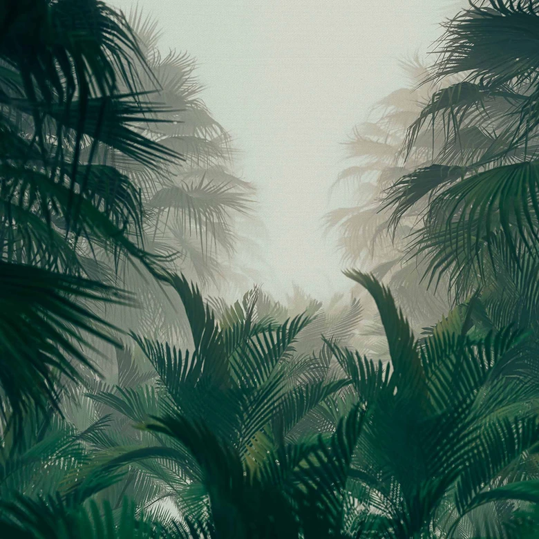 Nature PalmForest tapet i cremegrøn - non-woven tapet Designwalls 2 - 2,55 x 3,5 m 