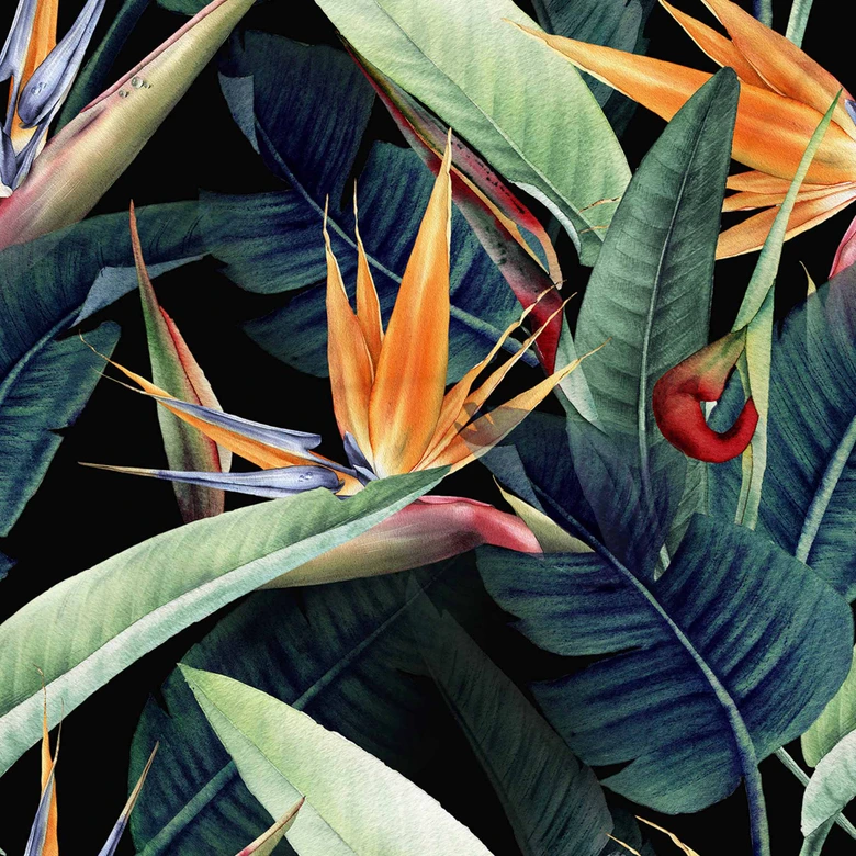 Fototapet Nature Rainforest i svartgrönt - non-woven Fototapet Designwalls 2 - 2,55 x 3,5 m 