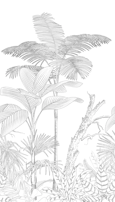Fototapete Dschungel schwarz weiß - Vliestapete Botanisch Livingwalls - matt und glatt 