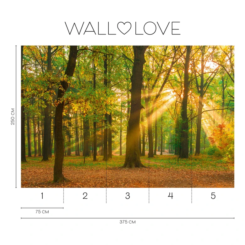 Wald-Fototapete mit Sonnenstrahlen Grün Braun – Vliestapete 3,75 m x 2,50 m Naturmotiv 