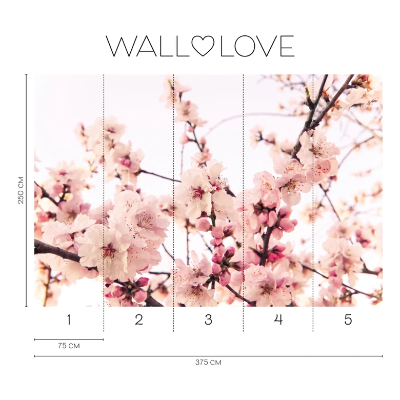 Kirschblüten-Fototapete Rosa Weiß – Vliestapete 3,75 m x 2,50 m Blütenmotiv zart 