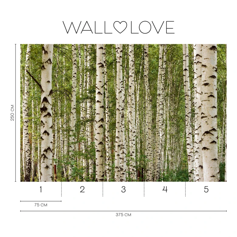 Birkenwald-Fototapete Naturgrün Weiß – Vliestapete 3,75 m x 2,50 m Waldmotiv 