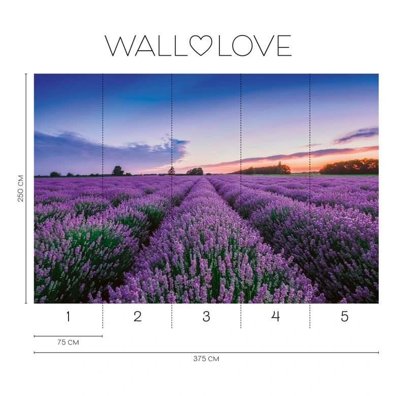 Lavendel-Fototapete Lila Blau – Vliestapete 3,75 m x 2,50 m Blütenfeld Provence 