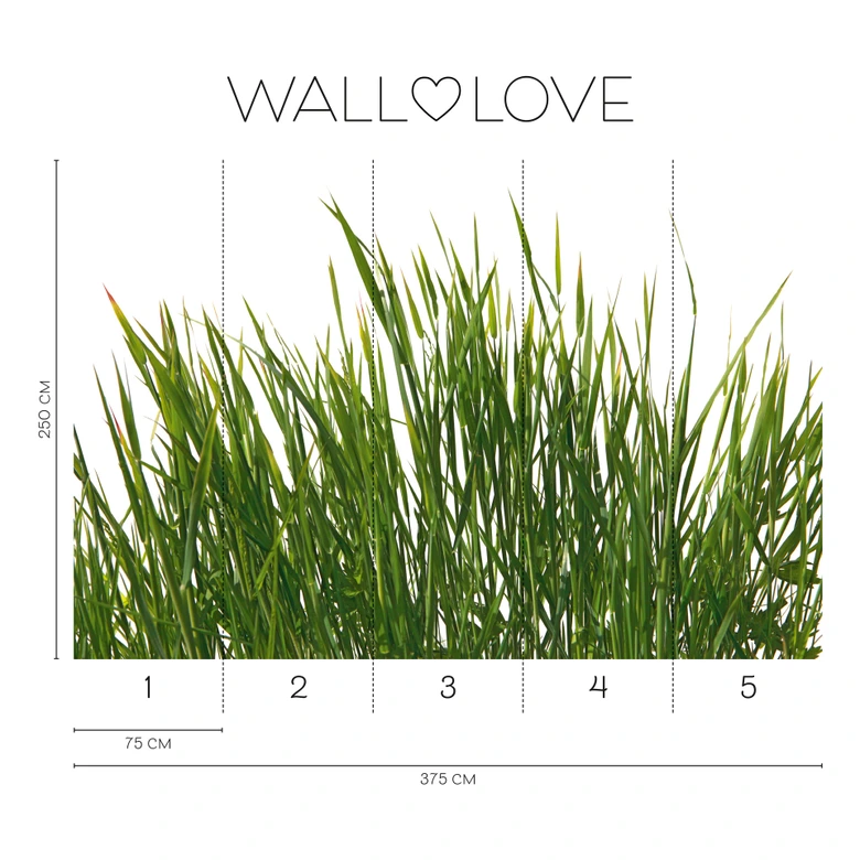 Gräser-Fototapete Naturgrün Weiß – Vliestapete 3,75 m x 2,50 m Wiesenmotiv modern 