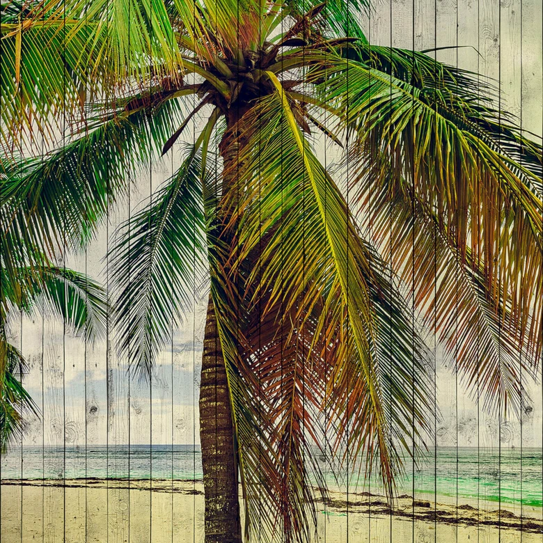 Livingwalls Photo Wallpaper Walls by Patel 2 tahiti 3 