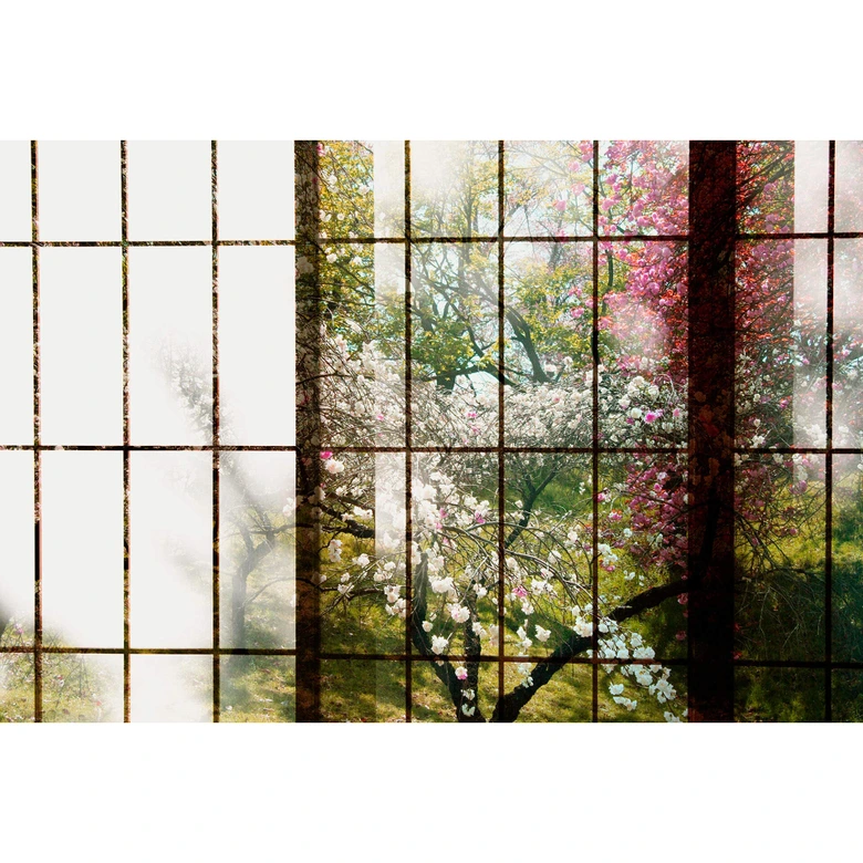 Livingwalls Fototapete Walls by Patel 2 orchard 1 