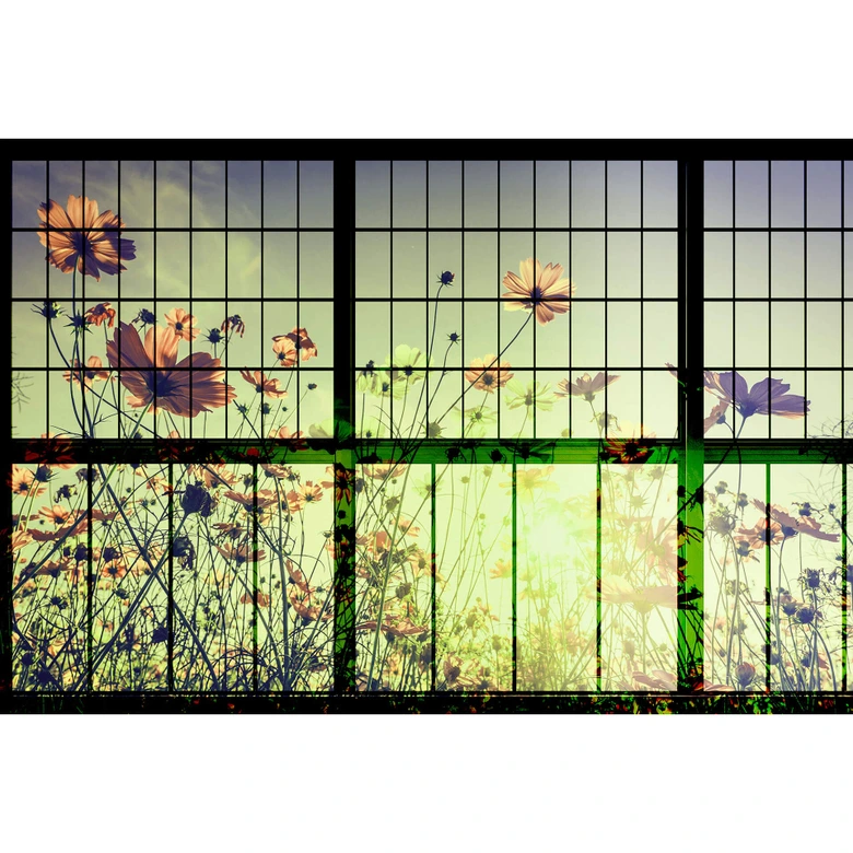 Livingwalls Fototapete Walls by Patel 2 meadow 2 
