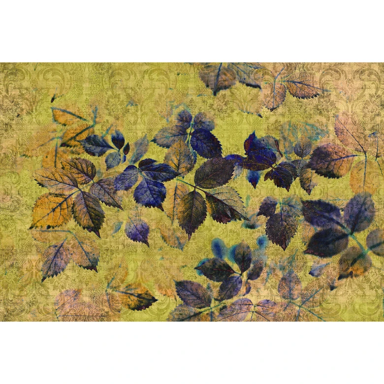 Livingwalls Photo Wallpaper Walls by Patel 2 indian summer 1 