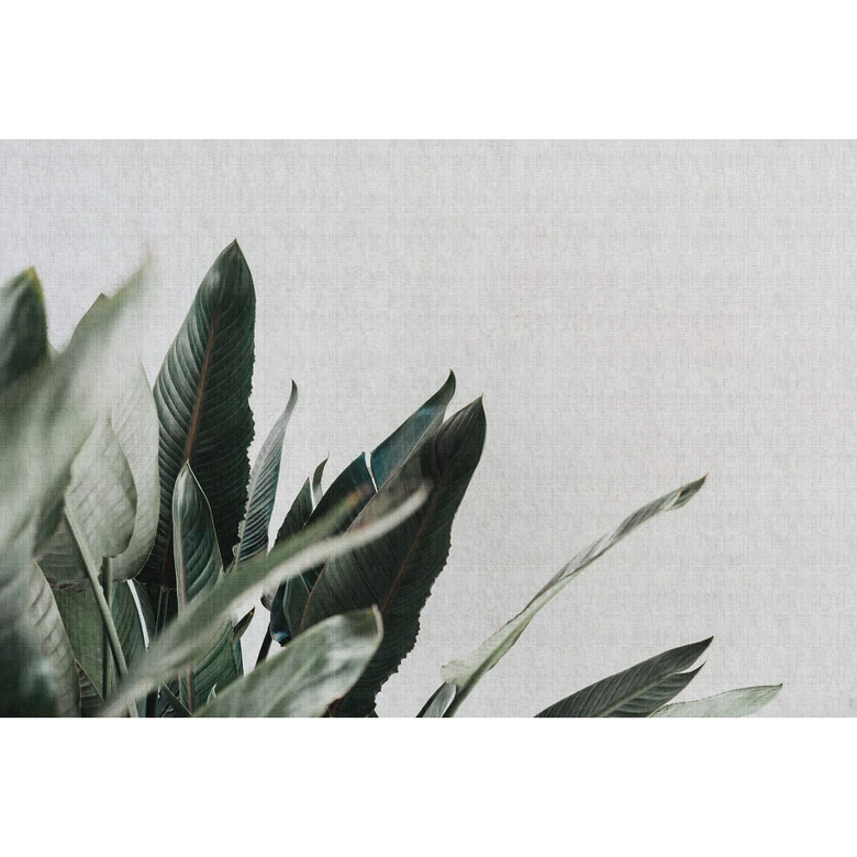 Livingwalls Fotobehang Walls by Patel 2 urban jungle 1 