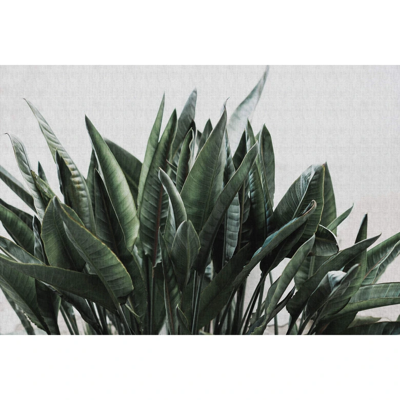 Livingwalls Fototapete Walls by Patel 2 urban jungle 2 