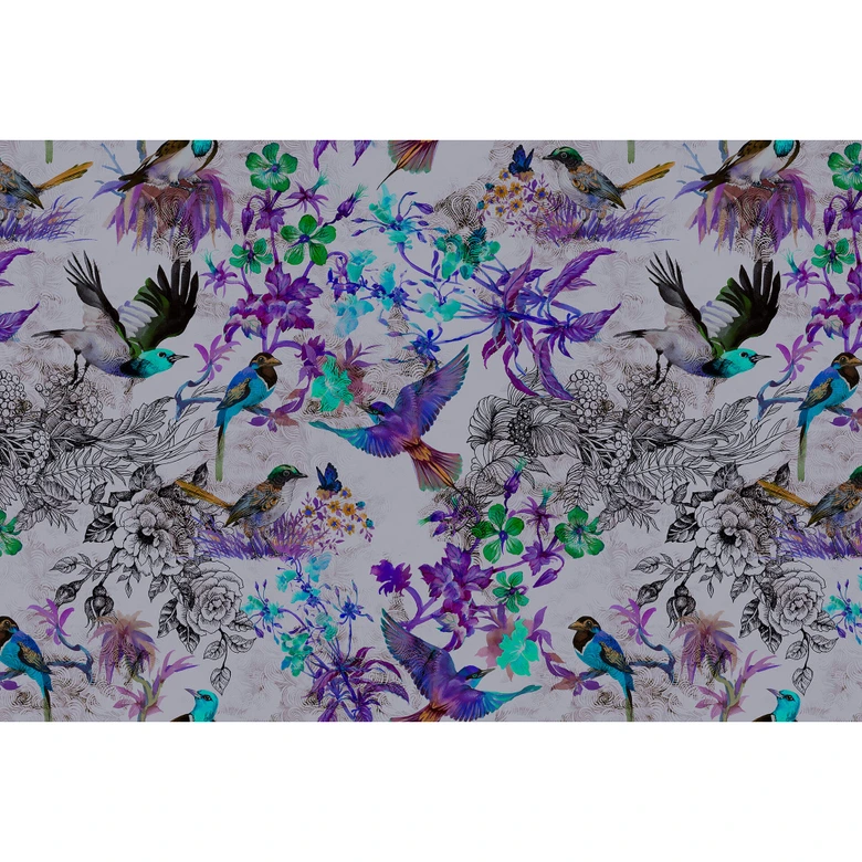 Livingwalls Fototapete Walls by Patel funky birds 2 