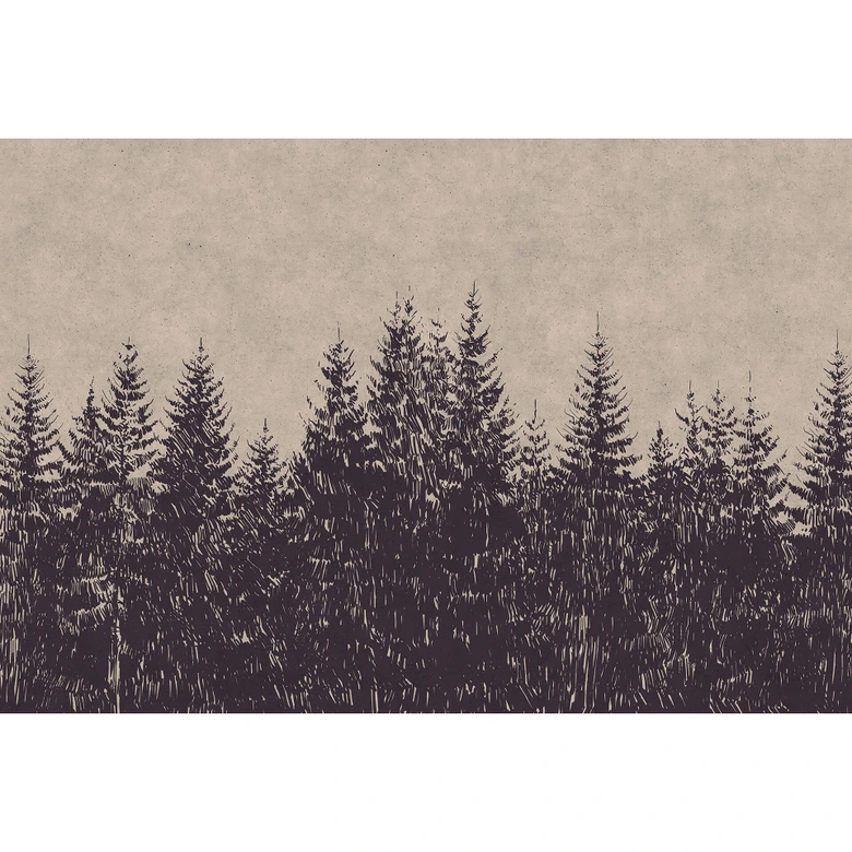 Livingwalls Fototapete Walls by Patel black forest 1 