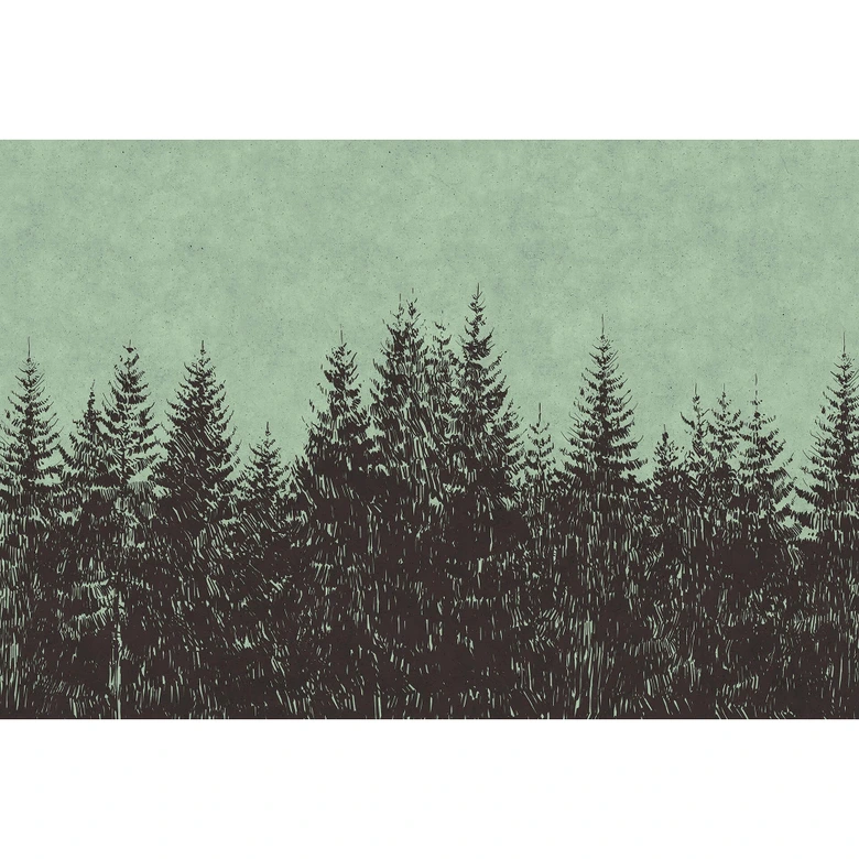 Livingwalls Fototapete Walls by Patel black forest 2 