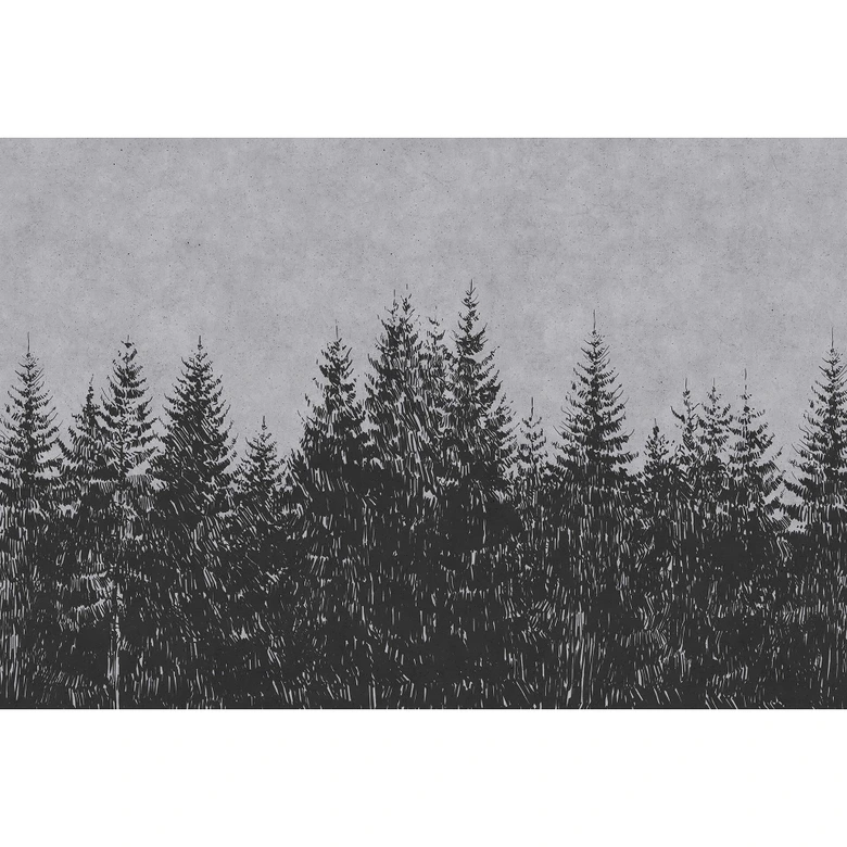 Livingwalls Fototapet Walls by Patel Black Forest 3 