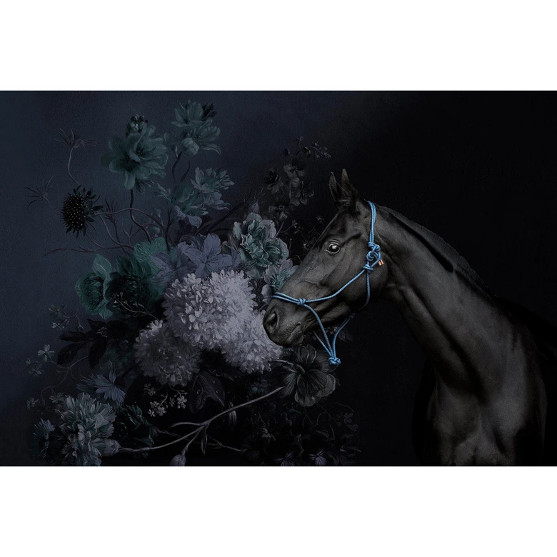 Livingwalls Fototapete Walls by Patel horses 2 