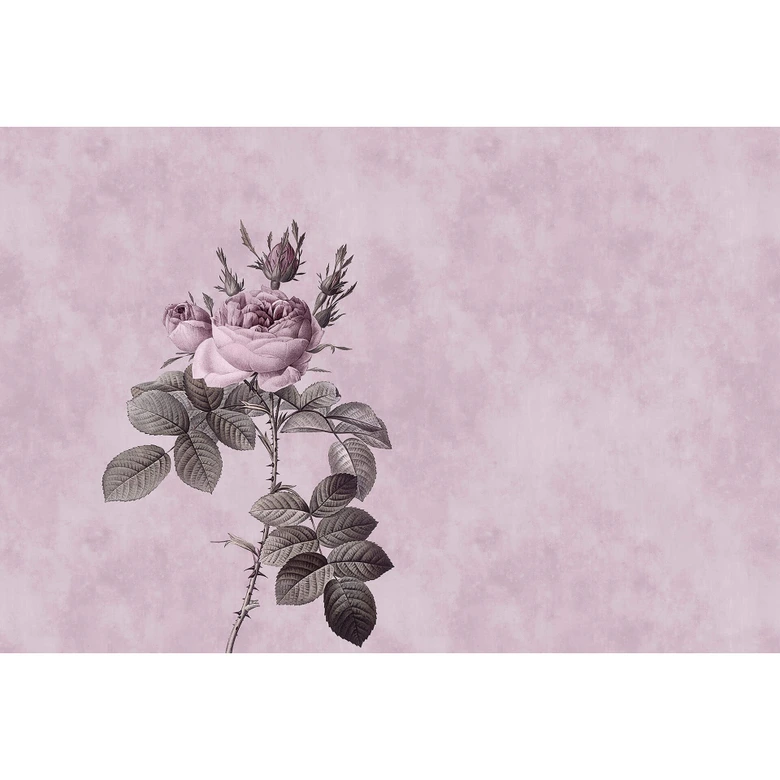 Livingwalls Fototapete Walls by Patel rose 1 